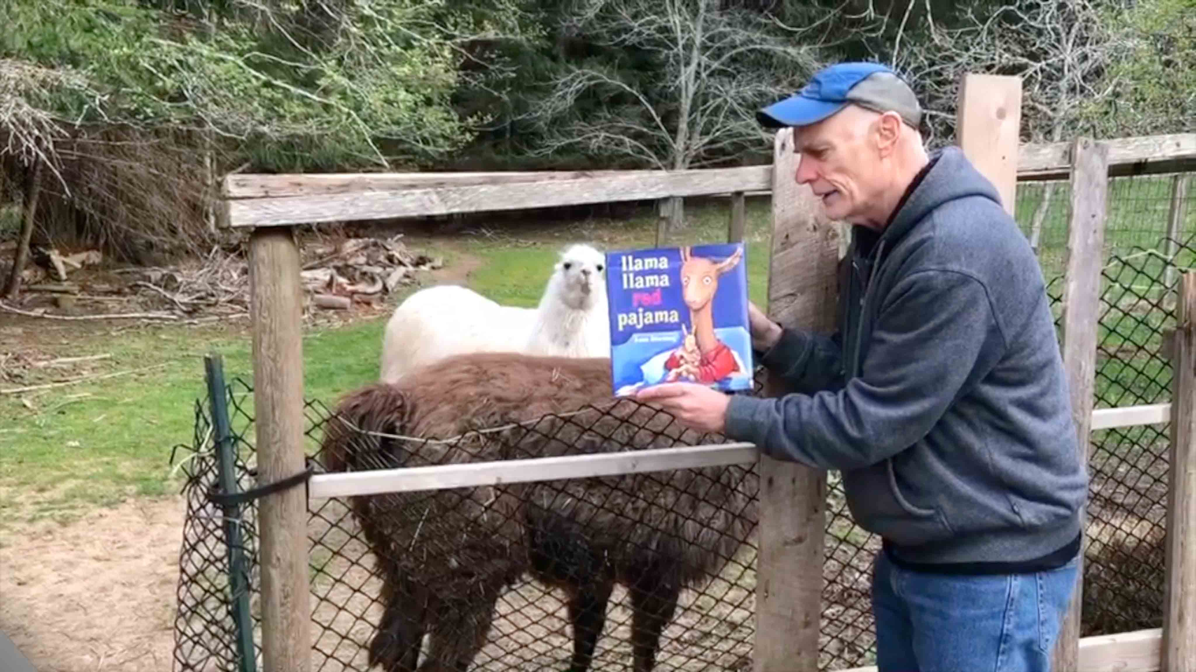 P.S. Arts Matt Frewer reads Llama Llama